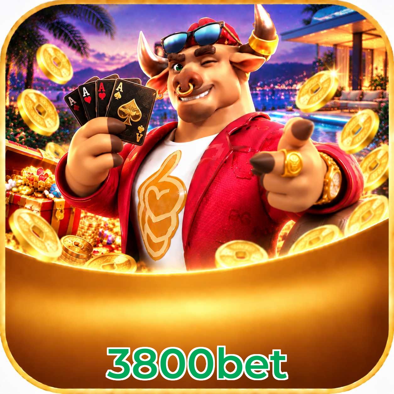 3800bet App vs Web