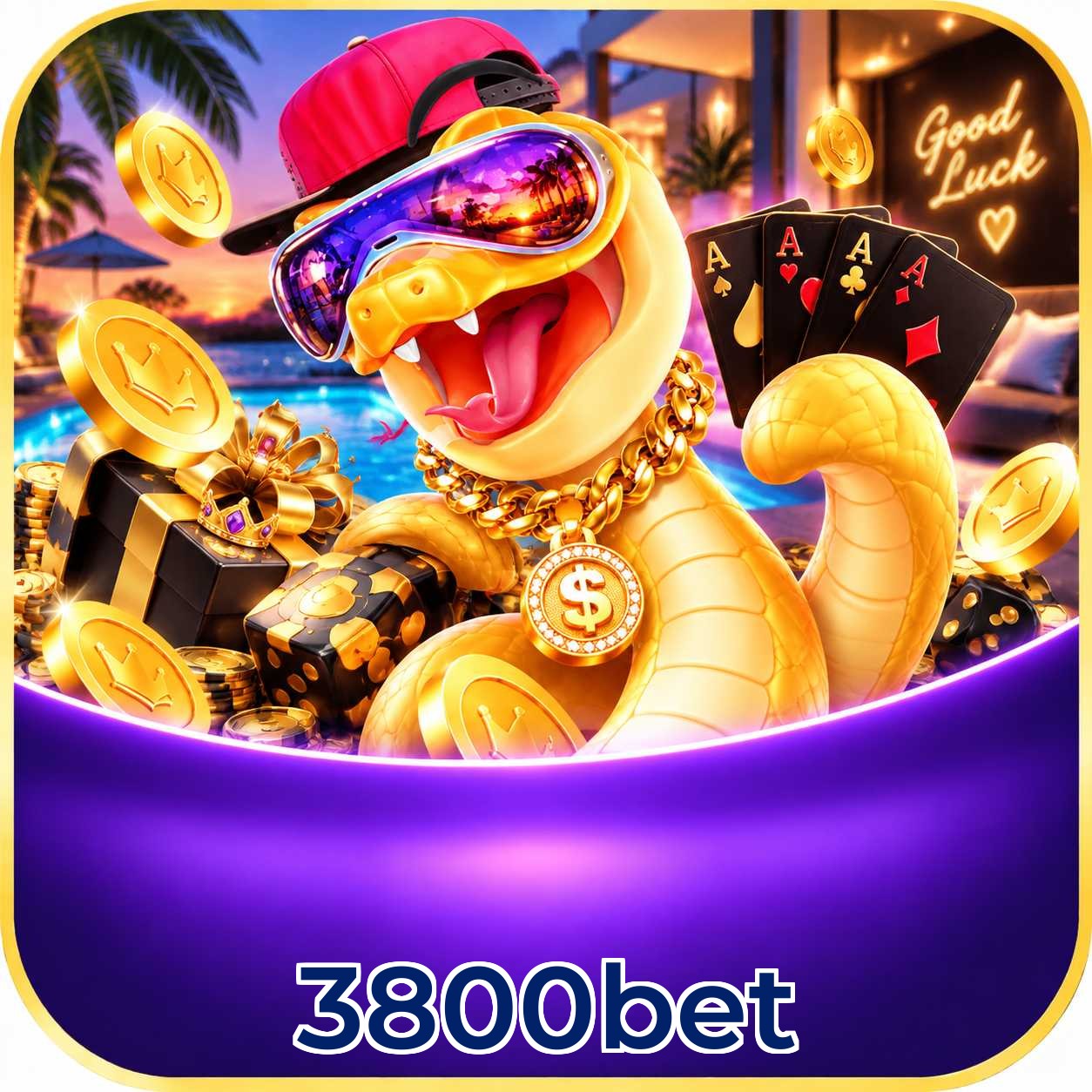 3800bet VIP Program